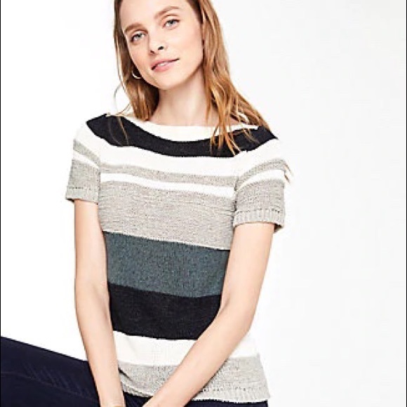 Ann Taylor Sweaters - NWT Ann Taylor Short Sleeve Textured Sweater XXL